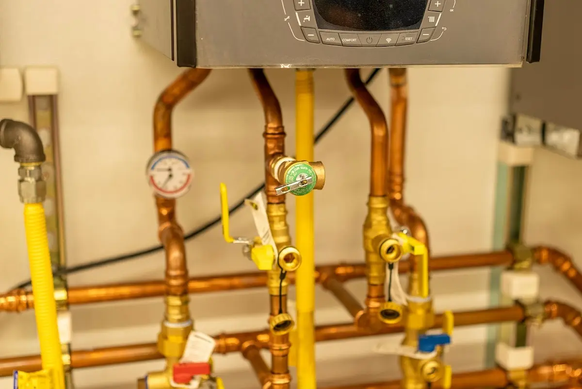 Licensed technician providing Emergency Plumbing for a homeowner in Lewes